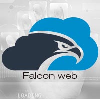 logofalconweb